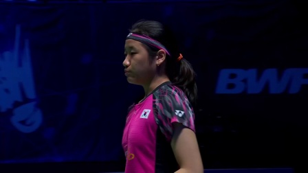 使新加坡队 使新加坡队